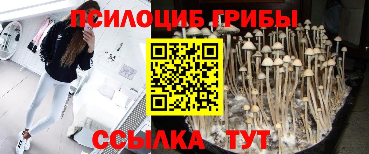 хочу   Вход с VPN  Вичуга  Псилоцибиновые грибы мухоморы 