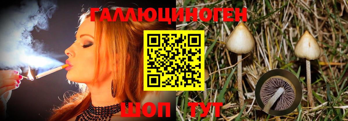 Галлюциногенные грибы GOLDEN TEACHER Вичуга